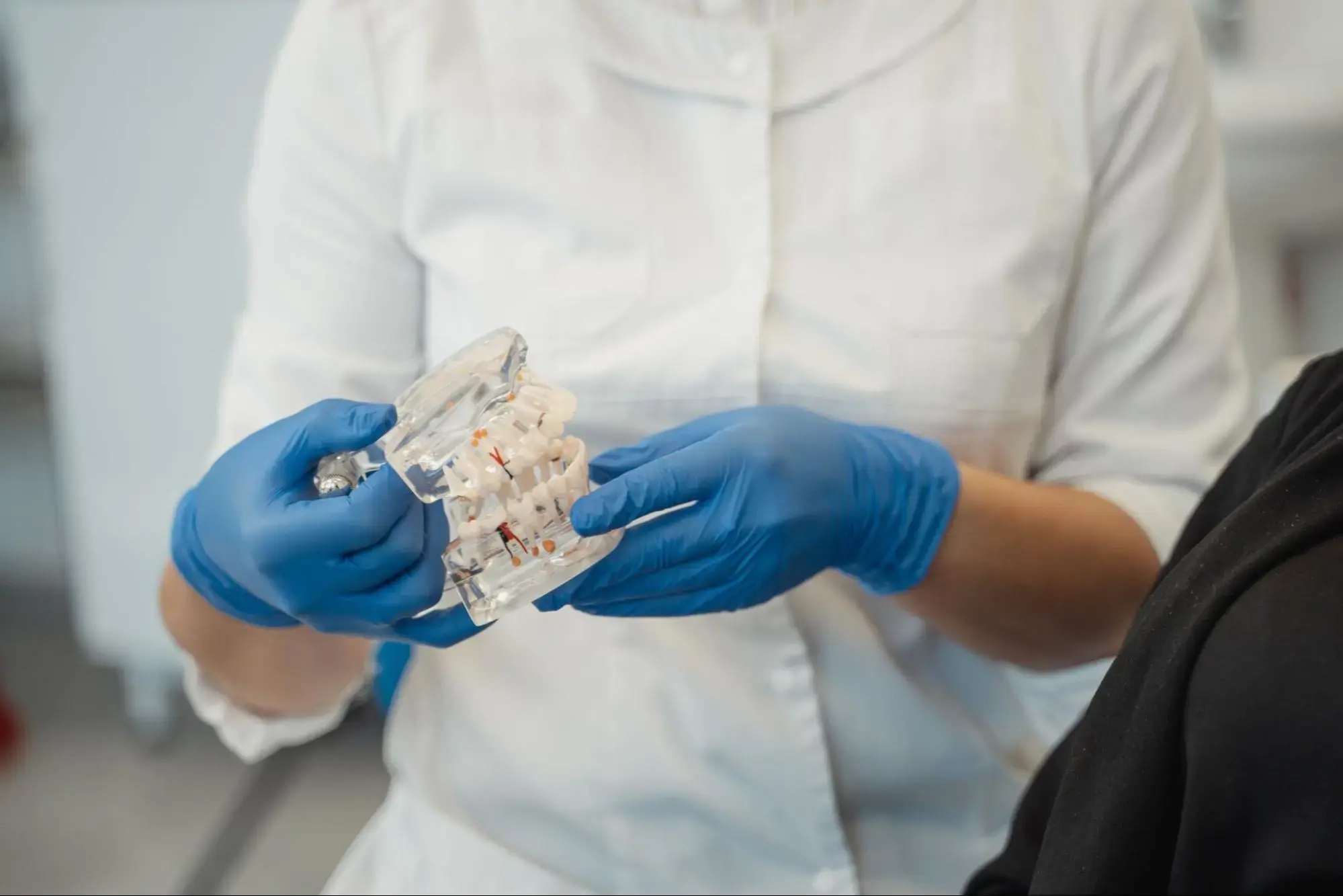 A dentist holding denture moulds.